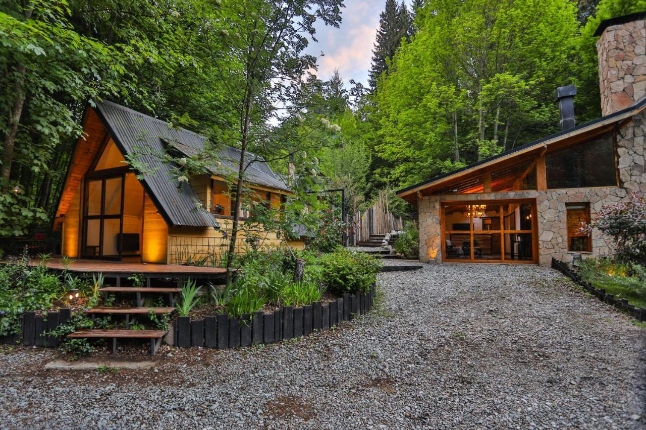 Apartamento Cabañita en el Bosque