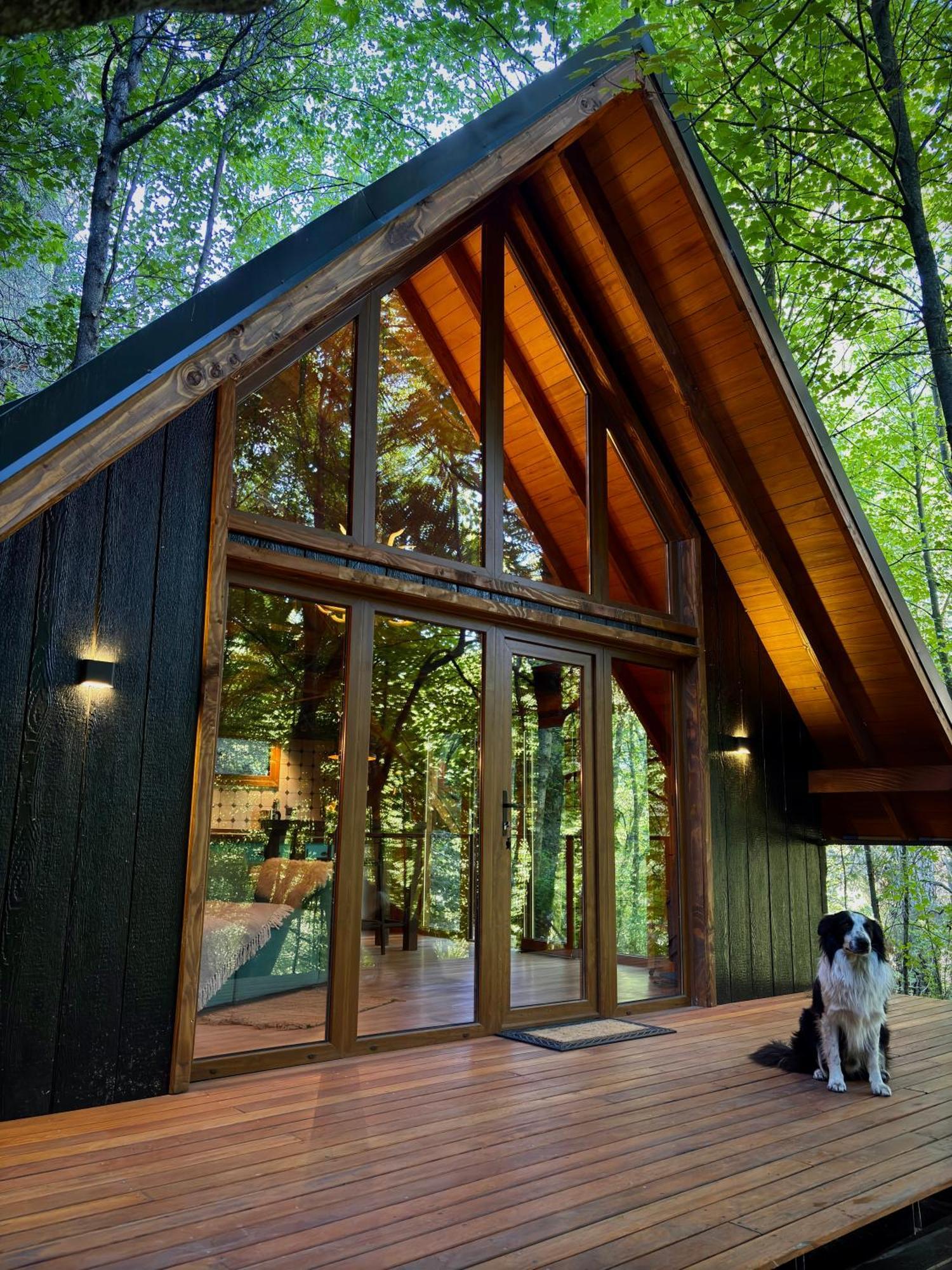 Cabañita en el Bosque Apartamento *